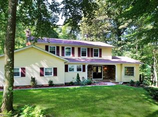 54 Ann Rd, Long Valley, NJ 07853