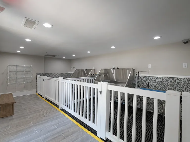 Pet Washing Stations