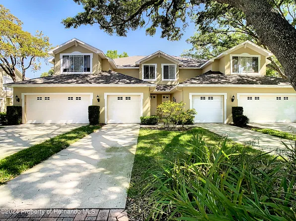 6407 Spring Oak Ct, Tampa, FL 33625