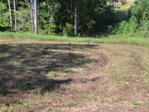 4th image of 2376 Pea Ridge Fire Tower Rd Lot 1