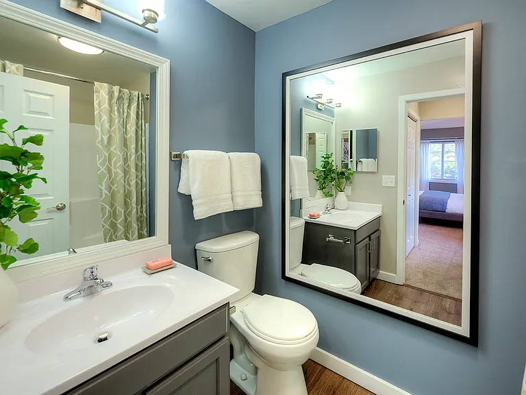 Fairways of Naperville Master Bath