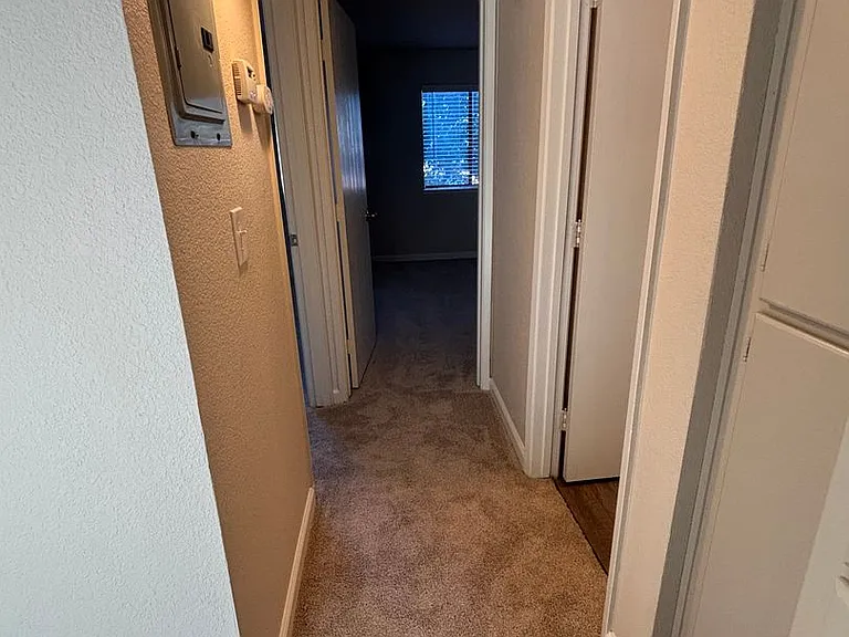 Olive Glen — Photo 20