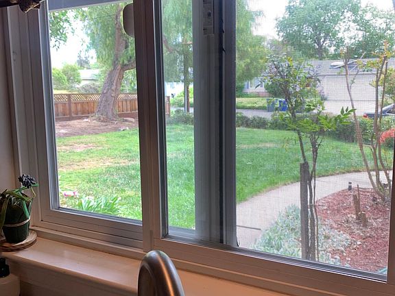 View frm Kitchen Window