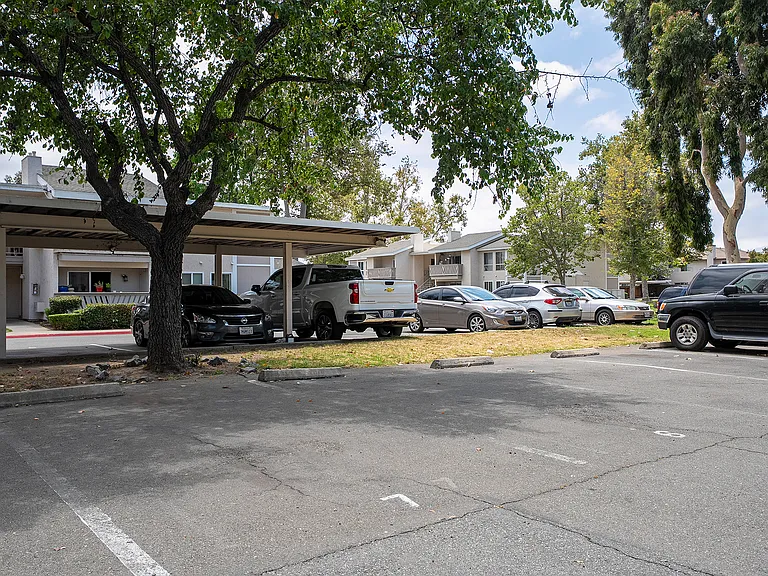 520 Sandalwood Pl #7 — Photo 39