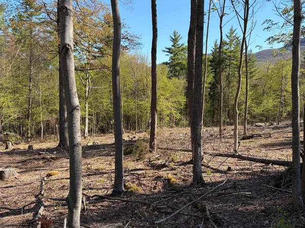 lot A Frost Pond Road, Dorset, VT 05251