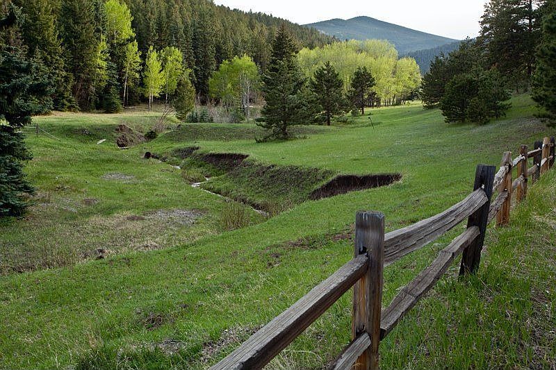 For Sale: 708 Soda Creek Dr., Evergreen, CO 80224