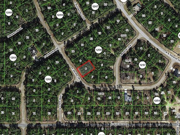 2nd image of 535 E Nemo Dr