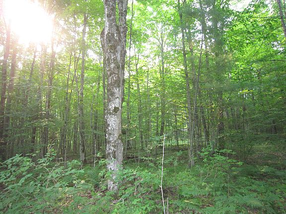 3rd image of 1364 County Road 373