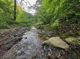 Right Hand Rd, Pine Grove, WV 26419