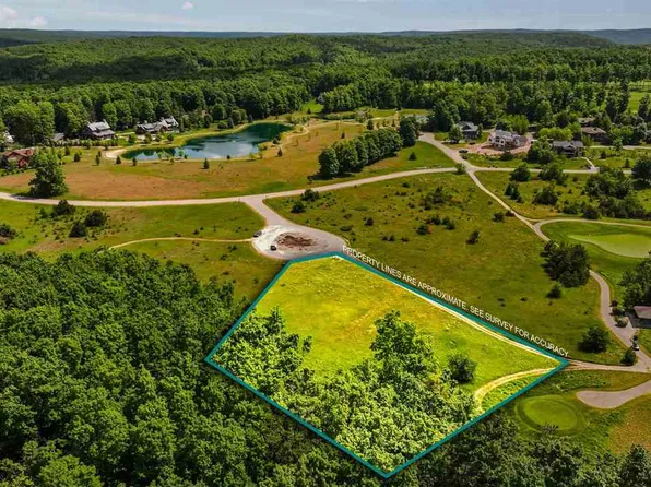 2522 Red Hawk Ct, Harbor Springs, MI 49740