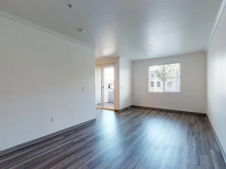 Apartment living room with wood-style flooring.