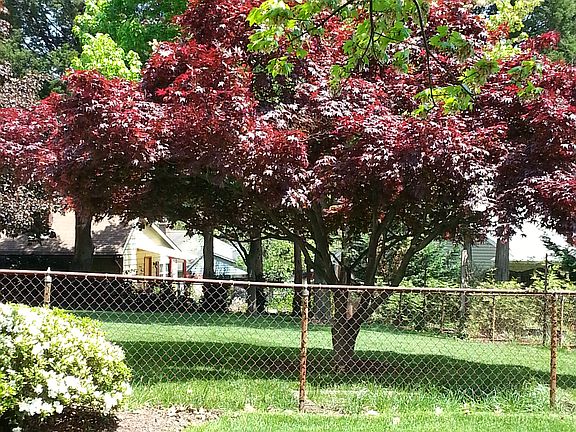 5th image of 1814 McAuliffe Dr