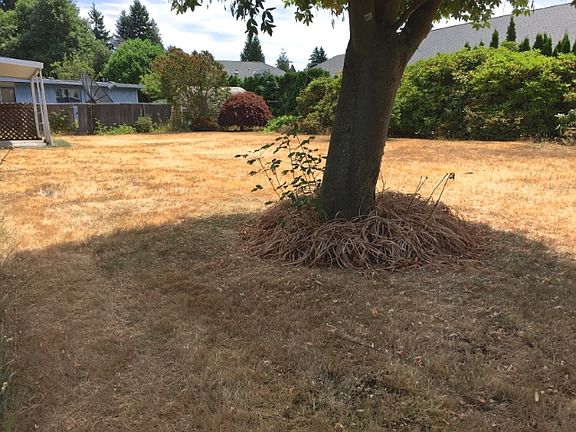 4th image of 31728 7th Ave S