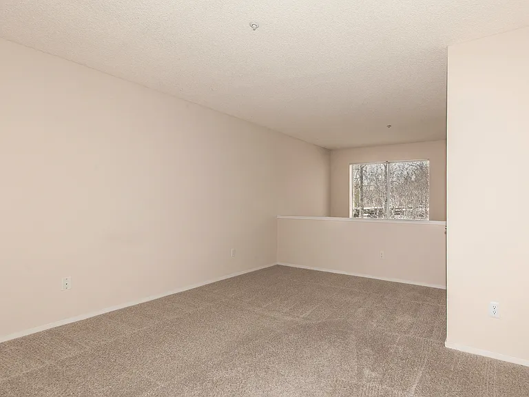 Avana Stoneridge — Photo 19