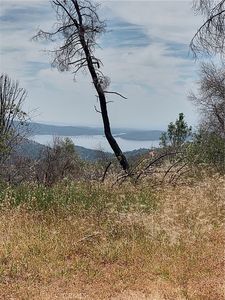 0 Black Bear Rd, Berry Creek, CA, 95916