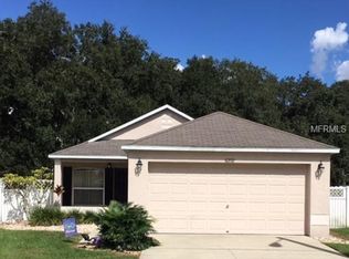 6202 Gassino Pl, Riverview, FL 33578