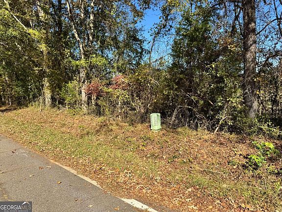 2nd image of 0 Taylor Rd Tract 1&2