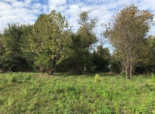 Tbd Fm 46, Franklin, TX 77856