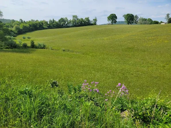 63 Clover Ln, Independence, VA 24348