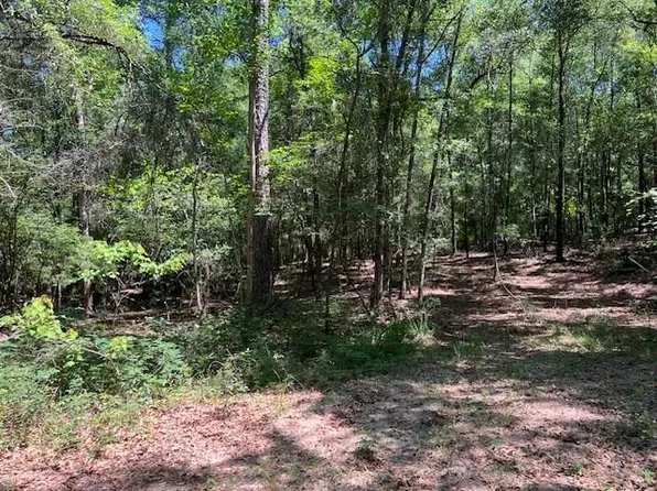 Jo Beth St, Waynesboro, MS 39367