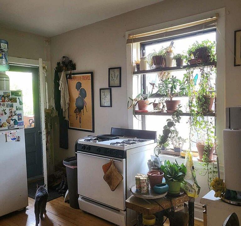 1st image of 2437 W Logan Blvd #2G