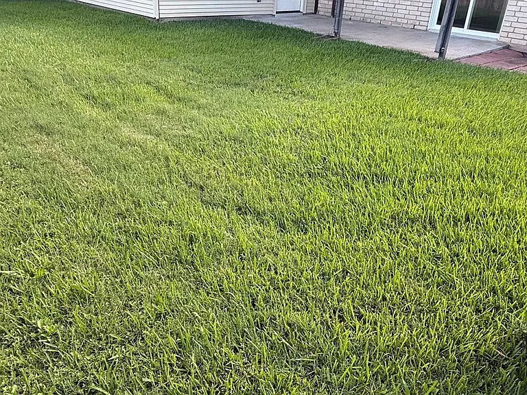 3207 E Heatherock Cir — Photo 22