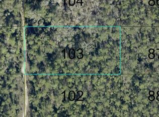 103 CROTTY STREET, HASTINGS, FL 32145