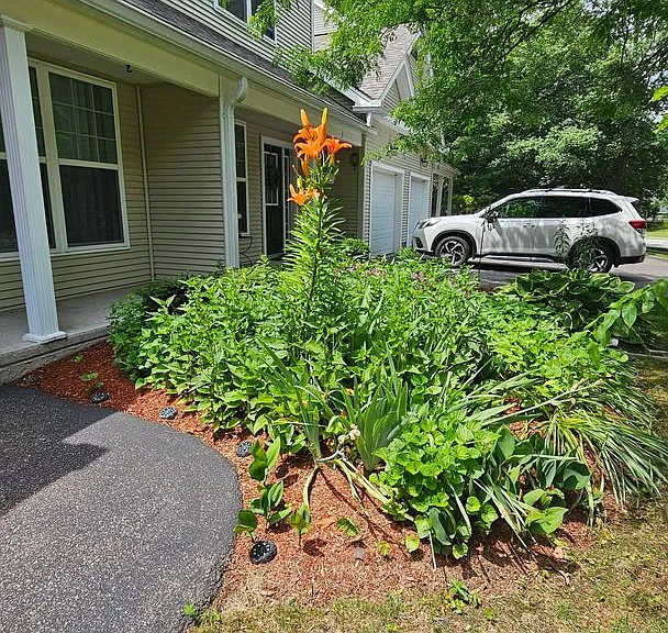 5 Marion Ave — Photo 33