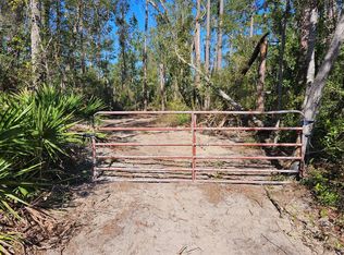 Tbd Ne Chervil Dr, Lee, FL 32059