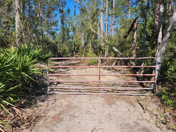 Tbd Ne Chervil Dr, Lee, FL 32059