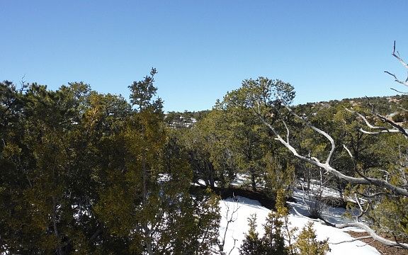 5th image of 100 Valle Sereno