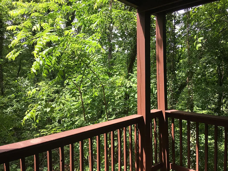 945 Wildwood Garden Dr — Photo 14