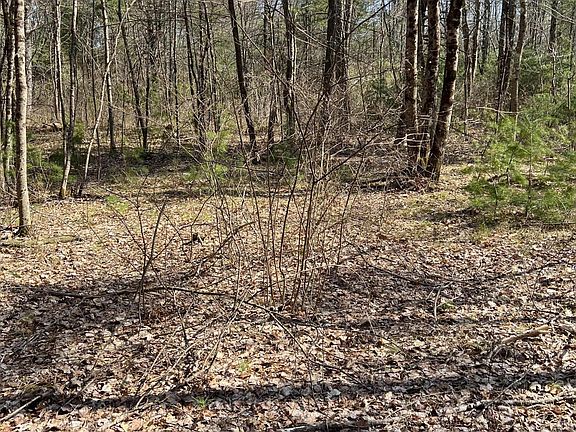 2nd image of ML 03-76-4 Cripple Creek Drive