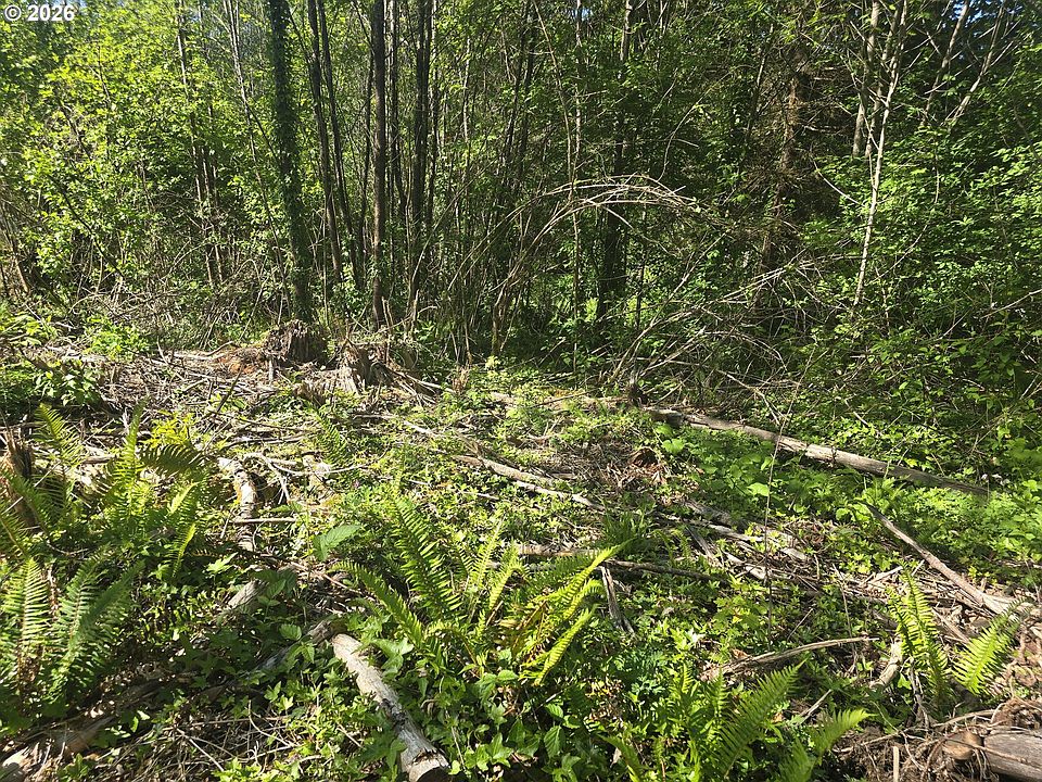 1st image of Bear Rd