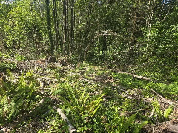 Bear Rd, Seaside, OR 97138