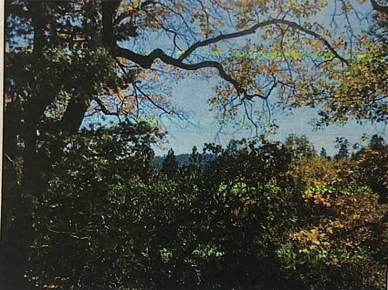 1st image of 26231 Spyglass Dr