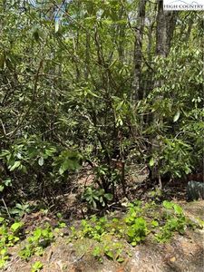 47 Hornbeam Road, Newland, NC, 28657