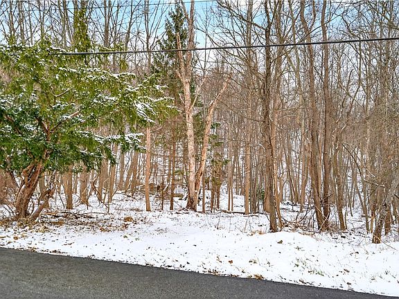 5th image of 217 Klein Rd