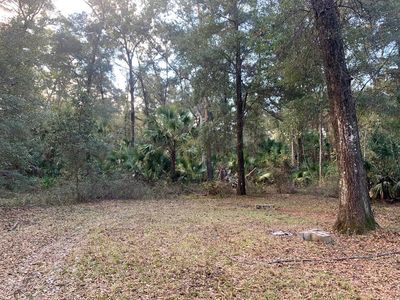 148 NE 644th St, Old Town, FL, 32680