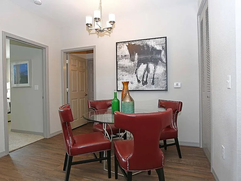 873 Ibis Walk Pl N — Photo 11