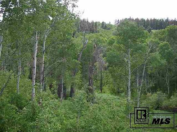 4th image of 33430 Danver Trl