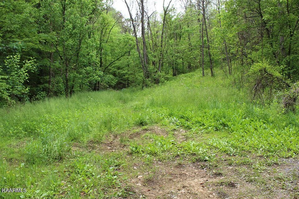 2nd image of Leatherwood Rd