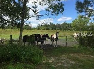 741 Lemon Bluff Rd, Osteen, FL 32764