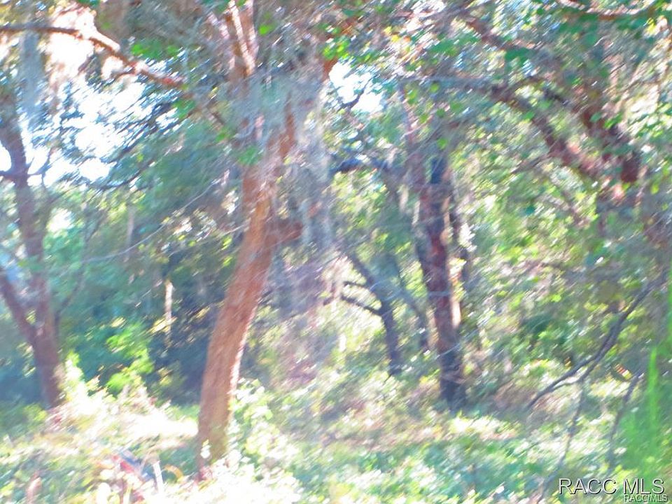 1st image of 3448 E Foliage Ln