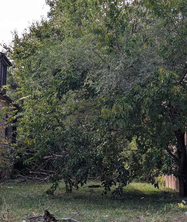 1st image of 6722 S Oakley Ave