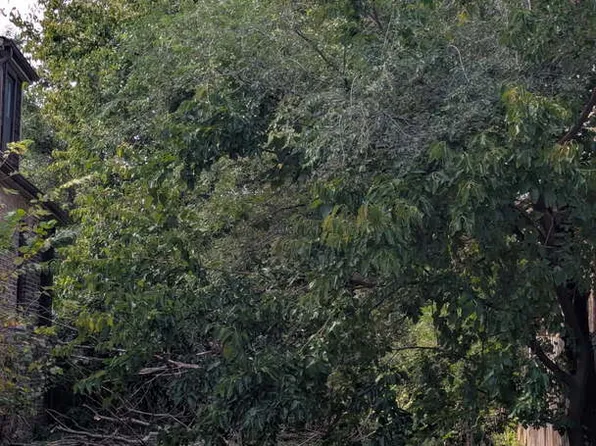 6722 S Oakley Ave, Chicago, IL 60636