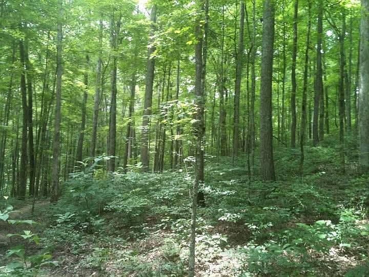 1st image of 8888 Hales Fork Rd