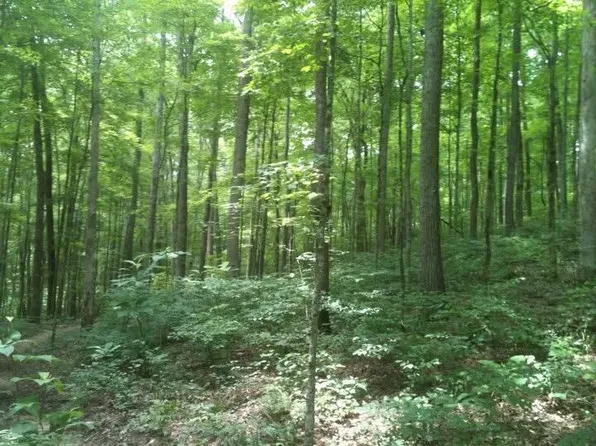 8888 Hales Fork Rd, Dewitt, KY 40930