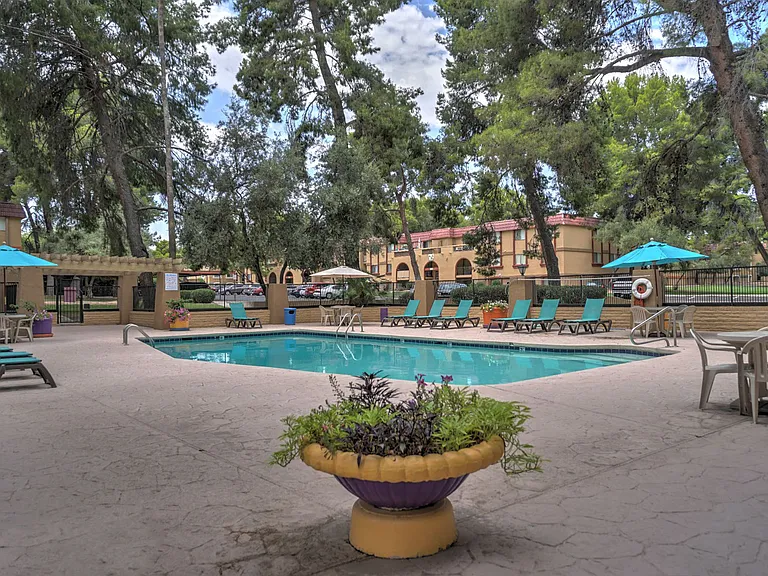 Pool & Pool Patio