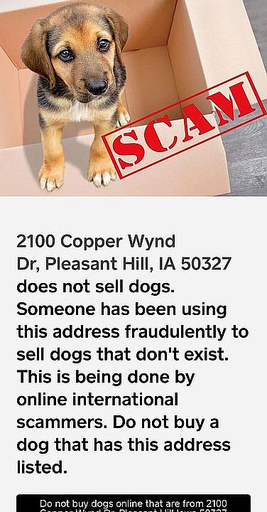 2nd image of 2100 Copper Wynd Dr